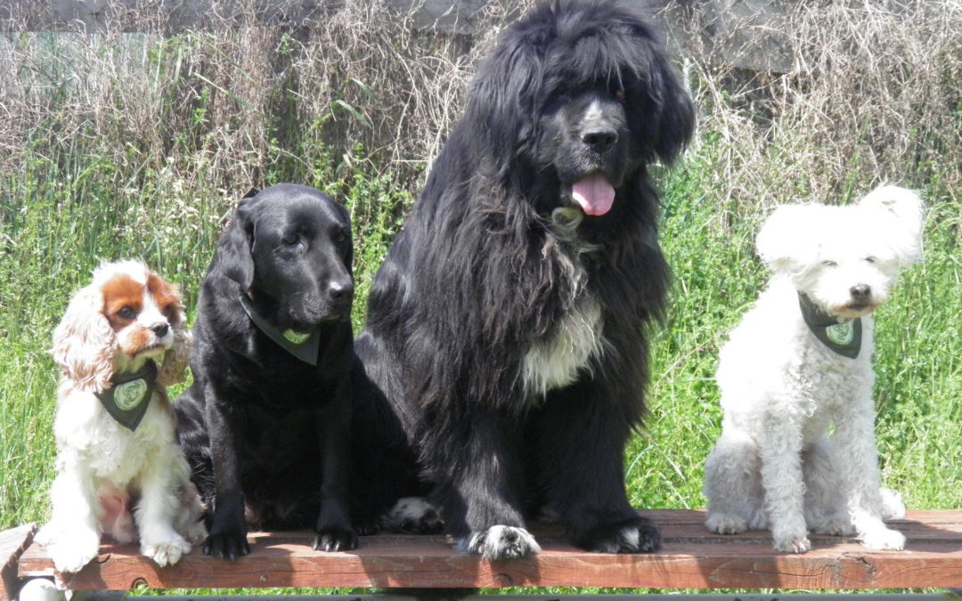 Újra indul a Gazdi-tanoda!