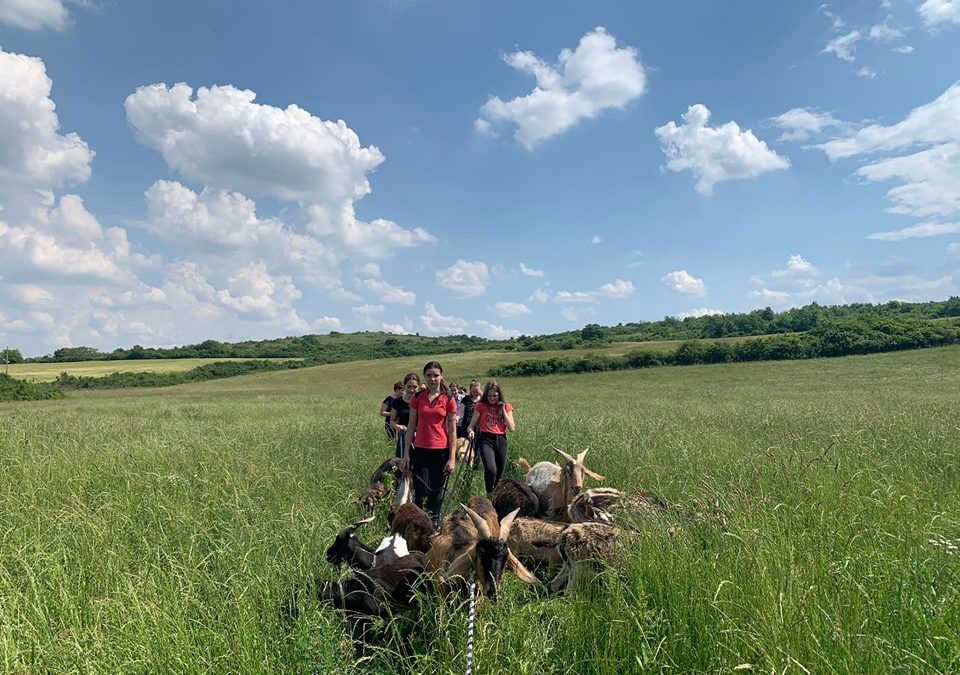 Várjuk az érdeklődő gyerekeket 4. nyári táborunkba!