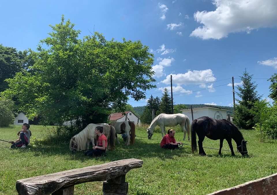 A lovas szakkörünk megszűnt