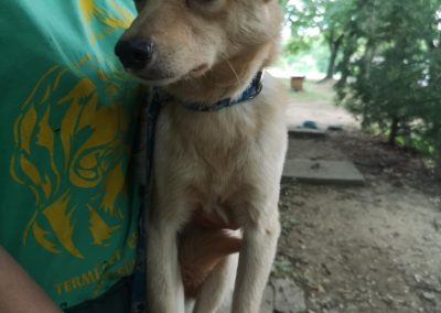 Muki